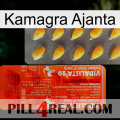 Kamagra Ajanta new01